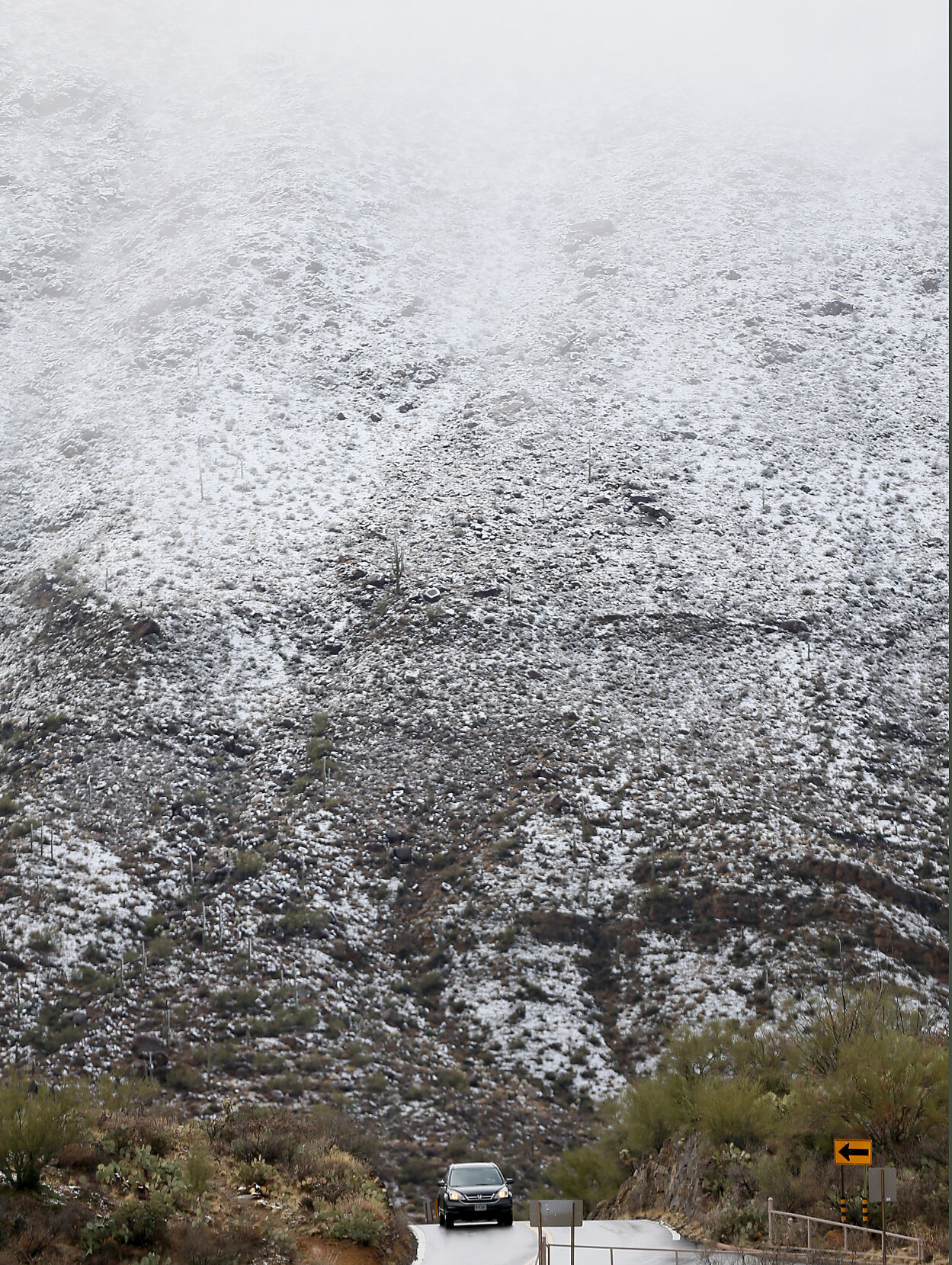 Snow in 蜜柚直播